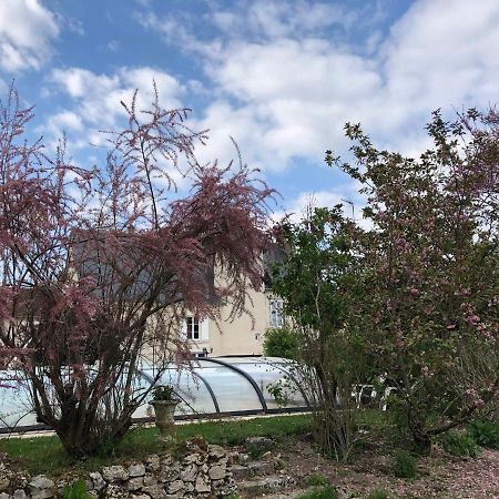 Bed and Breakfast Manoir Le Bout Du Pont Huisseau-sur-Cosson Exterior foto