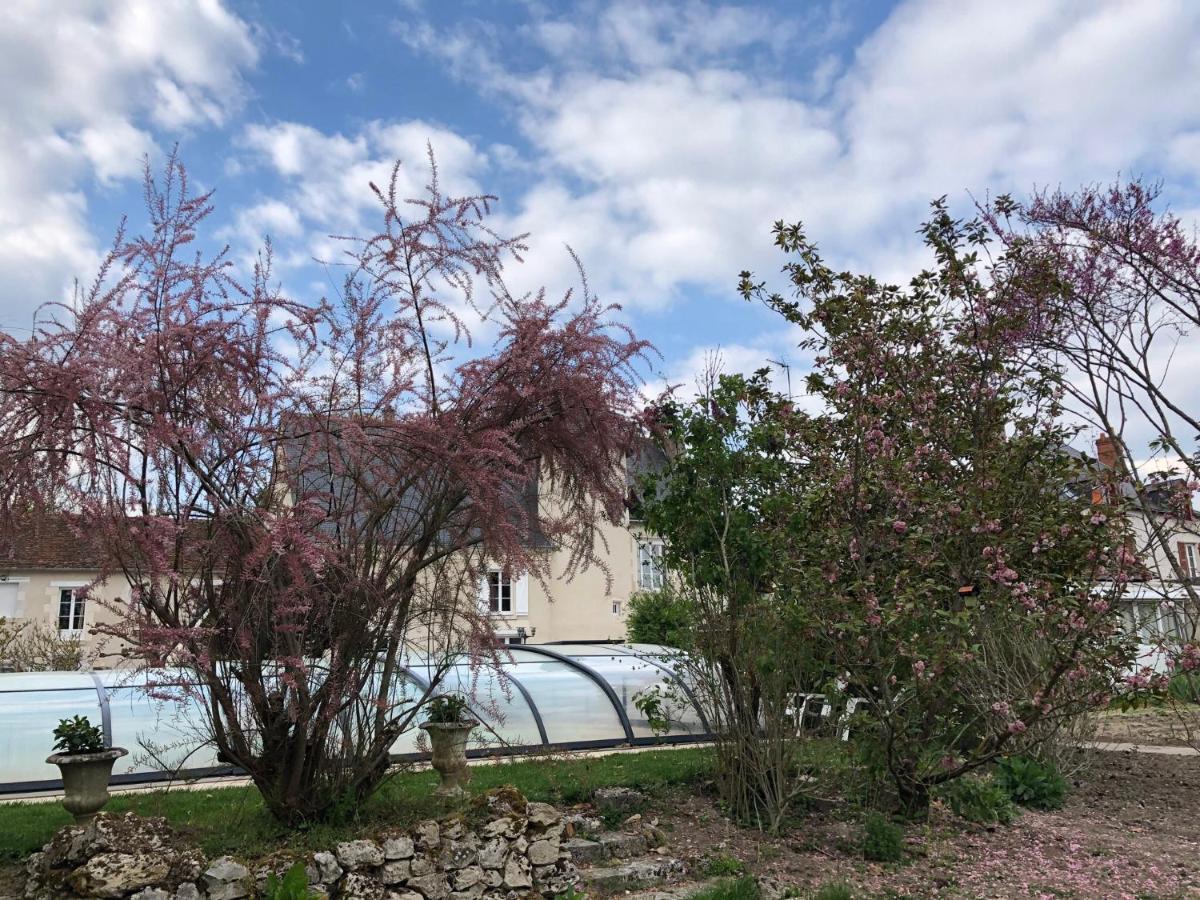 Bed and Breakfast Manoir Le Bout Du Pont Huisseau-sur-Cosson Exterior foto