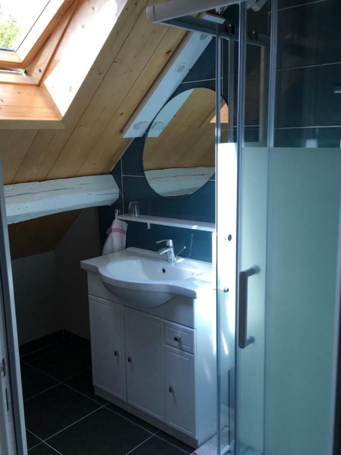 Bed and Breakfast Manoir Le Bout Du Pont Huisseau-sur-Cosson Exterior foto